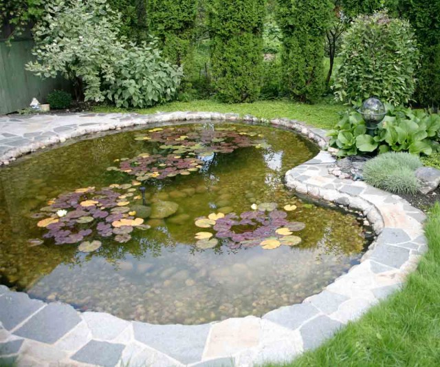 New Pond