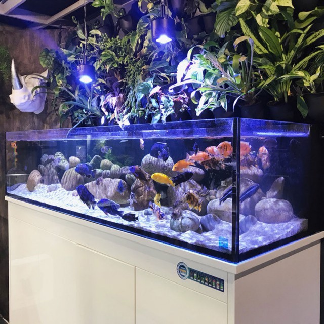 Nature Collective, Southampton