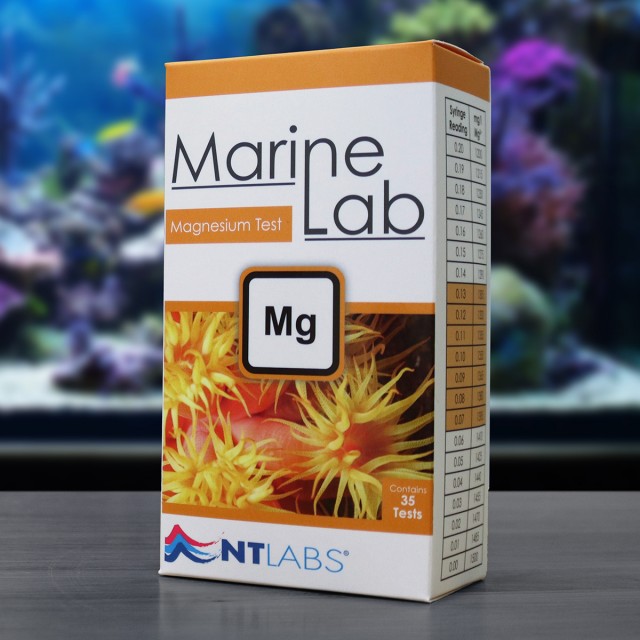 Marine Magnesium Test Display
